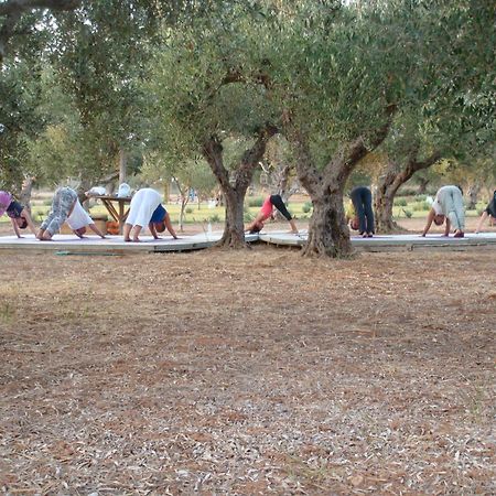 דירות מרתופוליס Agrikies Country Retreat מראה חיצוני תמונה