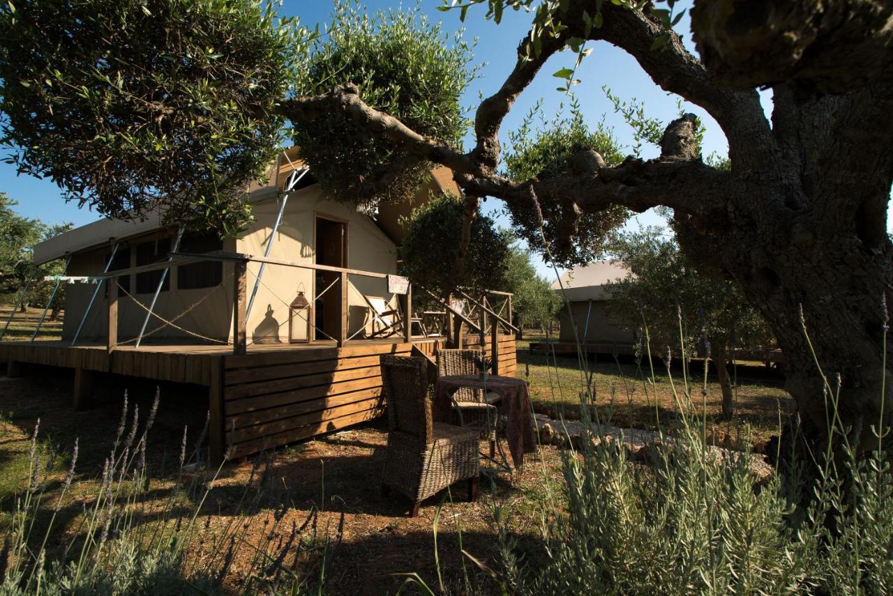 דירות מרתופוליס Agrikies Country Retreat מראה חיצוני תמונה