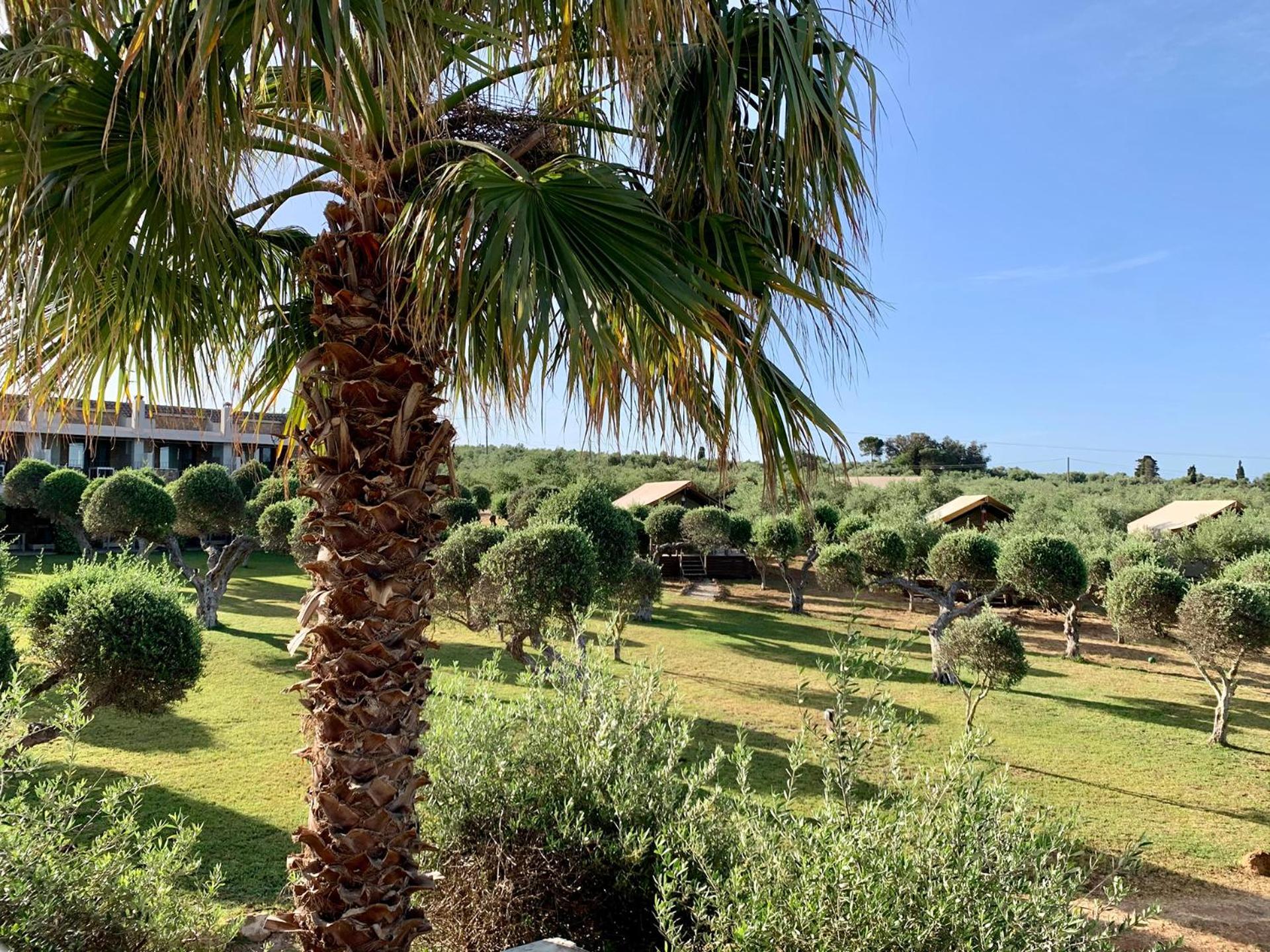 דירות מרתופוליס Agrikies Country Retreat מראה חיצוני תמונה